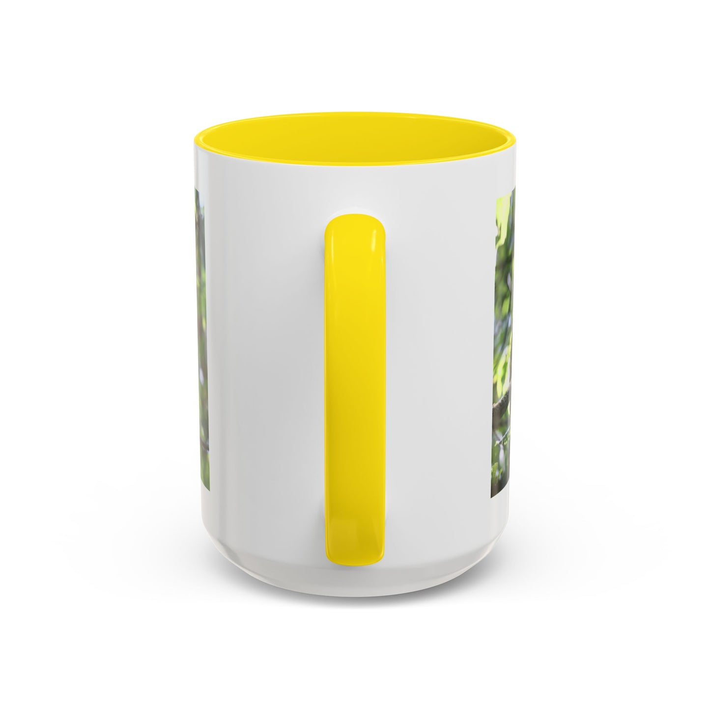 Hawk Perch Accent Coffee Mug (11/15 oz) – Nature Bird Photography