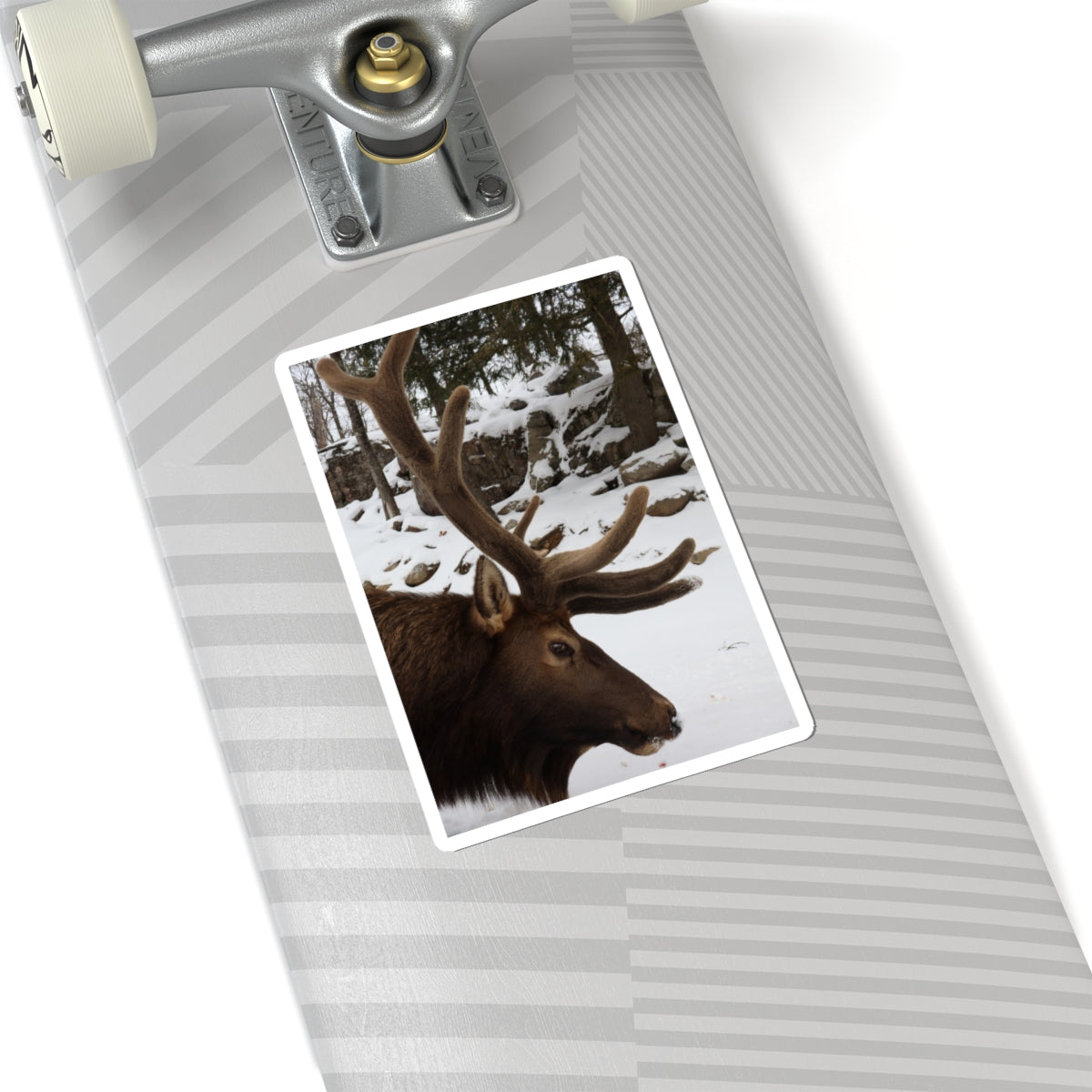 Elk Antler Photo Sticker – Winter Wildlife Kiss-Cut Sticker