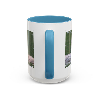 Loon Family Accent Coffee Mug – Wildlife Photo Tea Mug (11/15 oz)