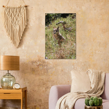 13989a2e-e5b1-47c2-b9a0-7941224c0092