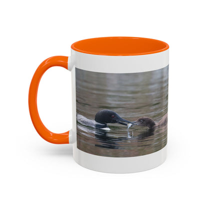 Bufflehead Duck Photo Accent Coffee Mug — Nature Lover Wildlife Gift (11/15oz)