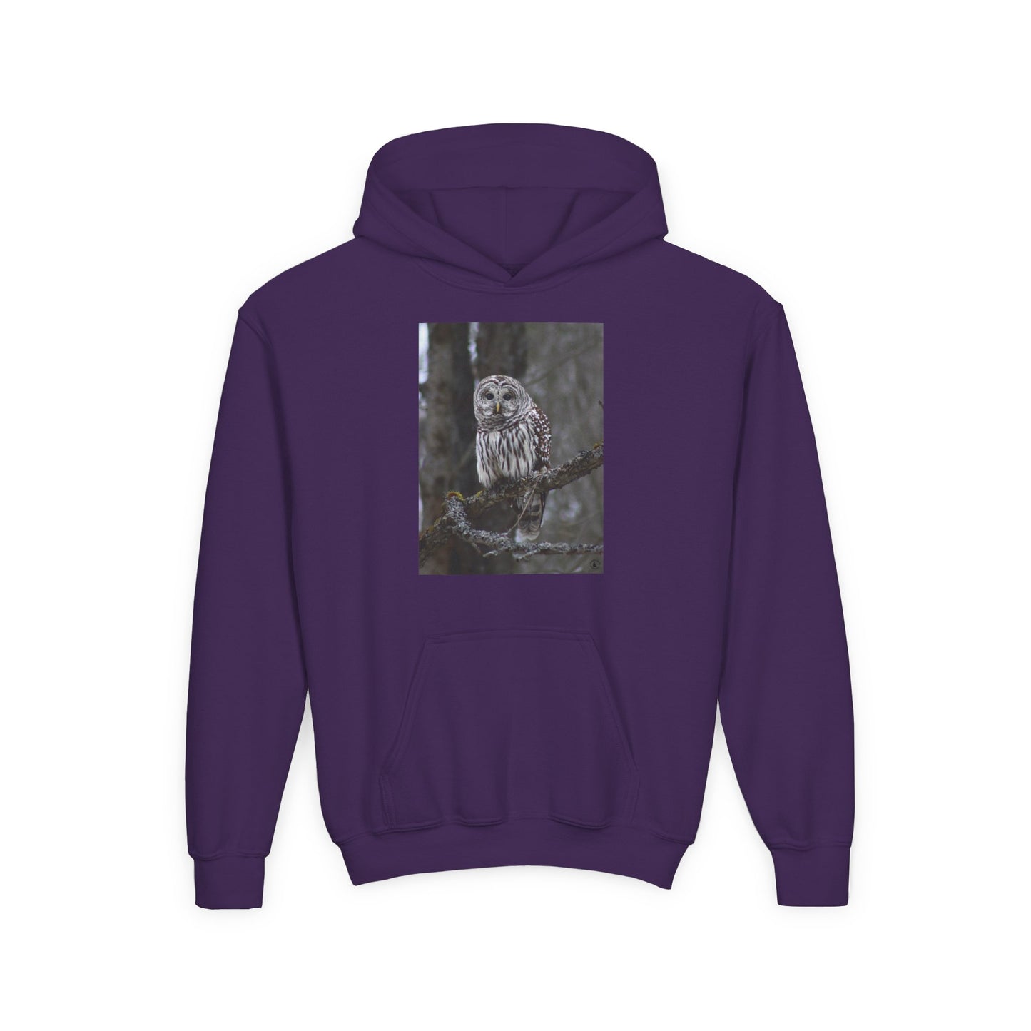 Owl Portrait Youth Hoodie — Realistic Forest Owl Graphic