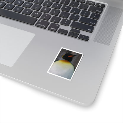 King Penguin Photo Kiss-Cut Sticker — Cute Wildlife Laptop Decal