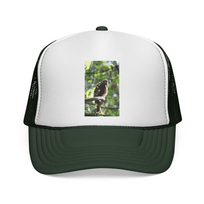 Bird Photography Trucker Cap – Perched Owl Nature Hat