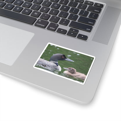 Common Loon Sticker — Kiss-Cut Wildlife Sticker with Loon and Chick, Nature Laptop Decal