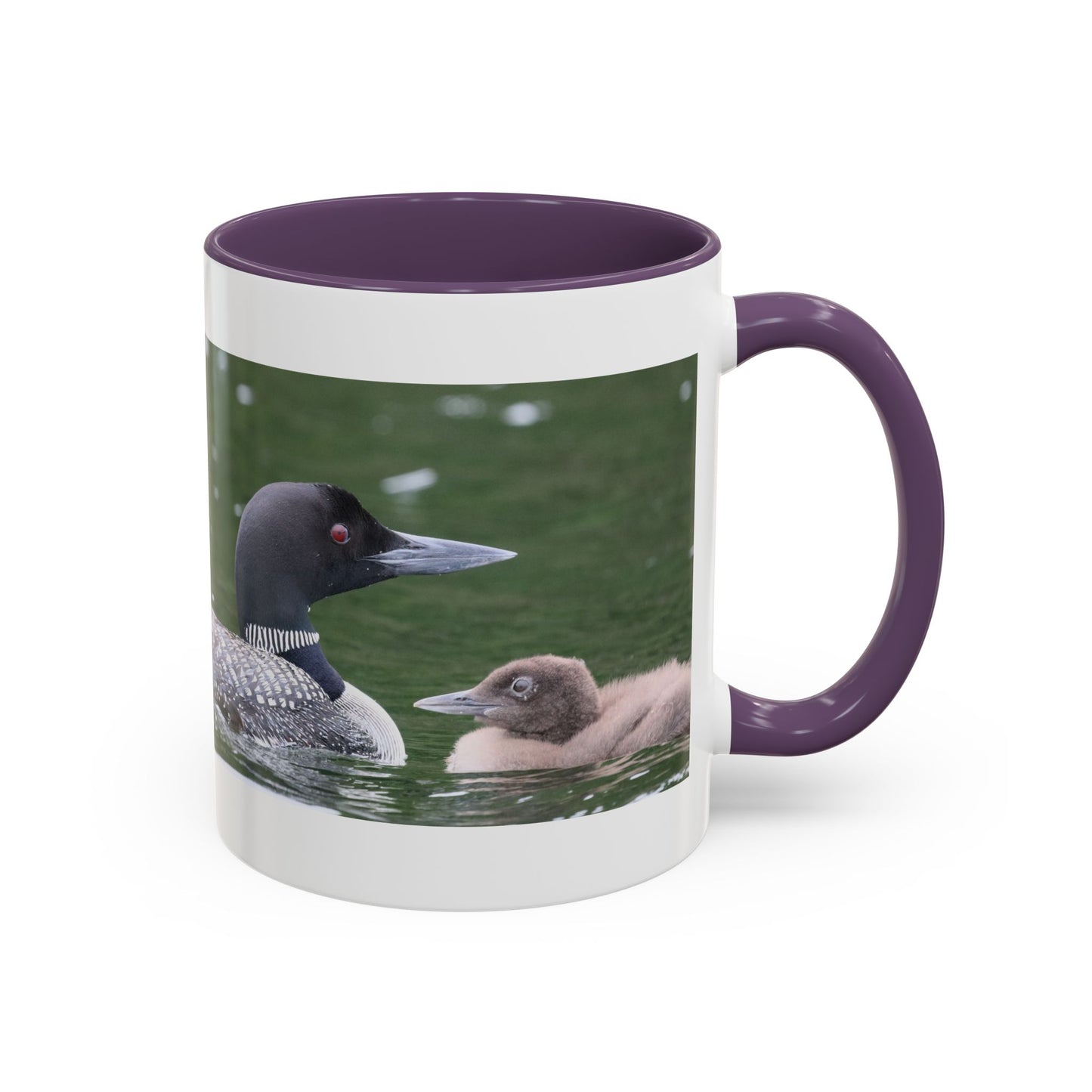 Loon Family Accent Coffee Mug – Wildlife Photo Tea Mug (11/15 oz)