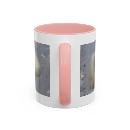 Arctic Fox Photo Accent Coffee Mug – Winter Wildlife Ceramic Mug (11/15oz)