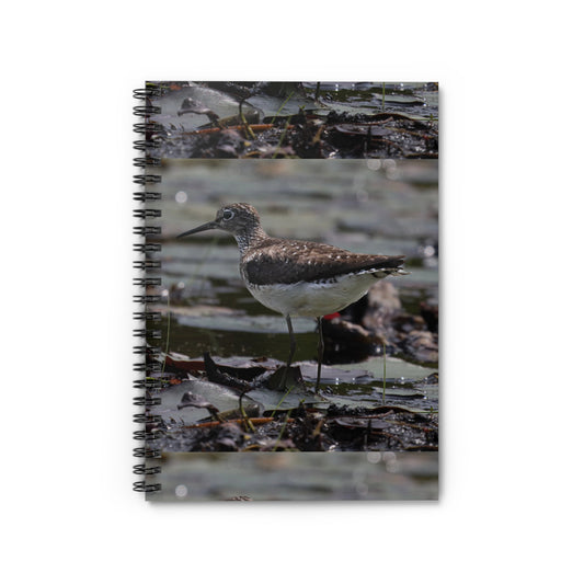 Sandpiper Spiral Notebook — Ruled Wildlife Journal for Bird Lovers