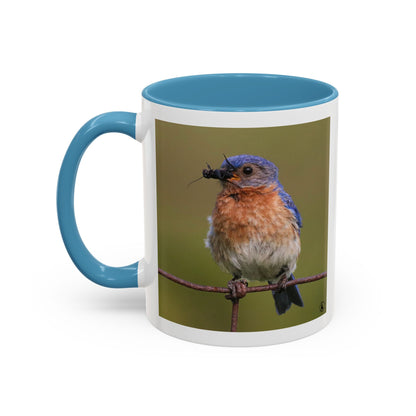 Bluebird Photo Coffee Mug — Eastern Bluebird with Insect Accent Mug (11/15 oz)
