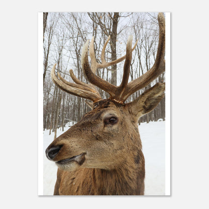 141d81c3-8f43-4d1d-8edc-efa2255489e4