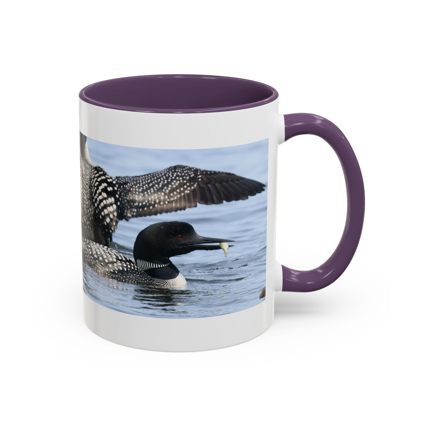 Common Loon Accent Coffee Mug – Wildlife Photography Bird Lover Gift (11/15oz)