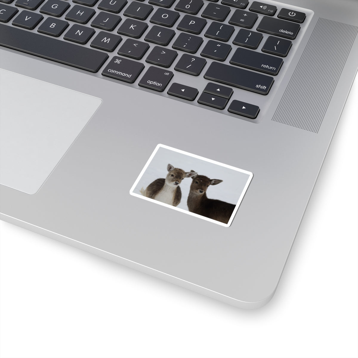 Fawn Pair Sticker — Cute Deer Kiss-Cut Vinyl Decal for Laptops & Water Bottles