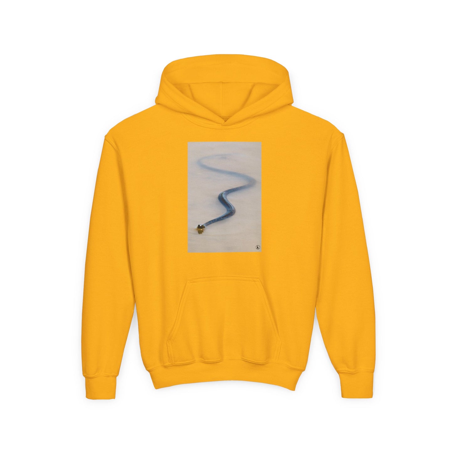 Youth Heavy Blend Hooded Sweatshirt
