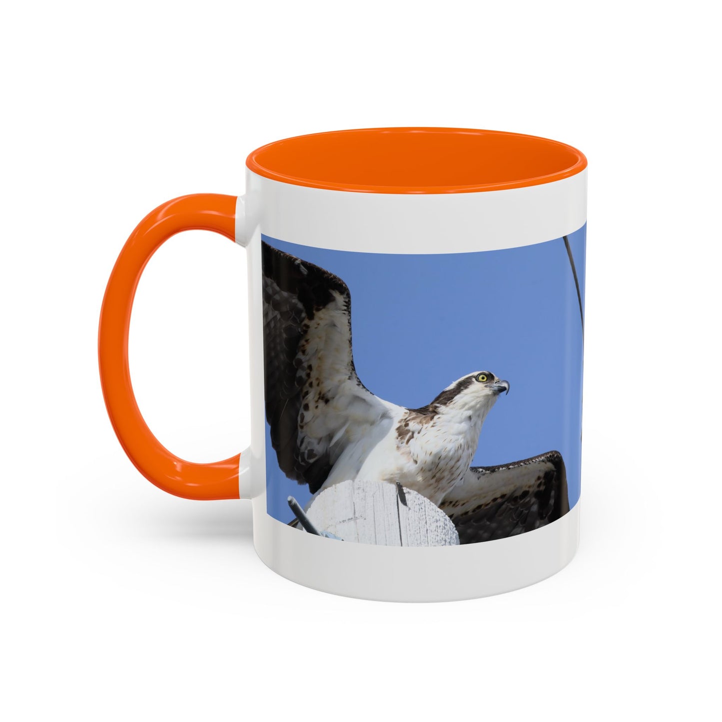 Osprey Photo Accent Coffee Mug – Wildlife Bird Photography Drinkware (11/15 oz)
