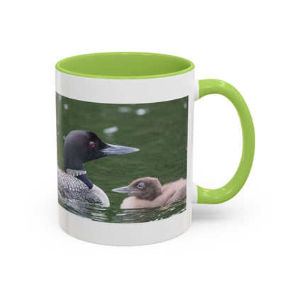 Loon Family Accent Coffee Mug – Wildlife Photo Tea Mug (11/15 oz)