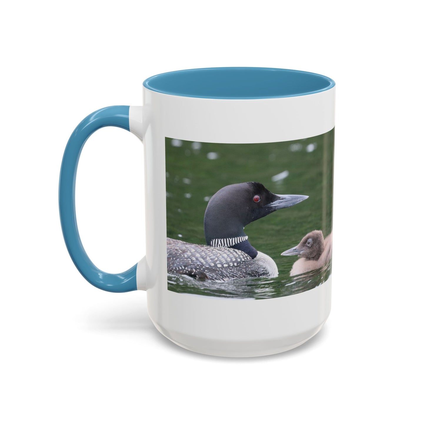 Loon Family Accent Coffee Mug – Wildlife Photo Tea Mug (11/15 oz)