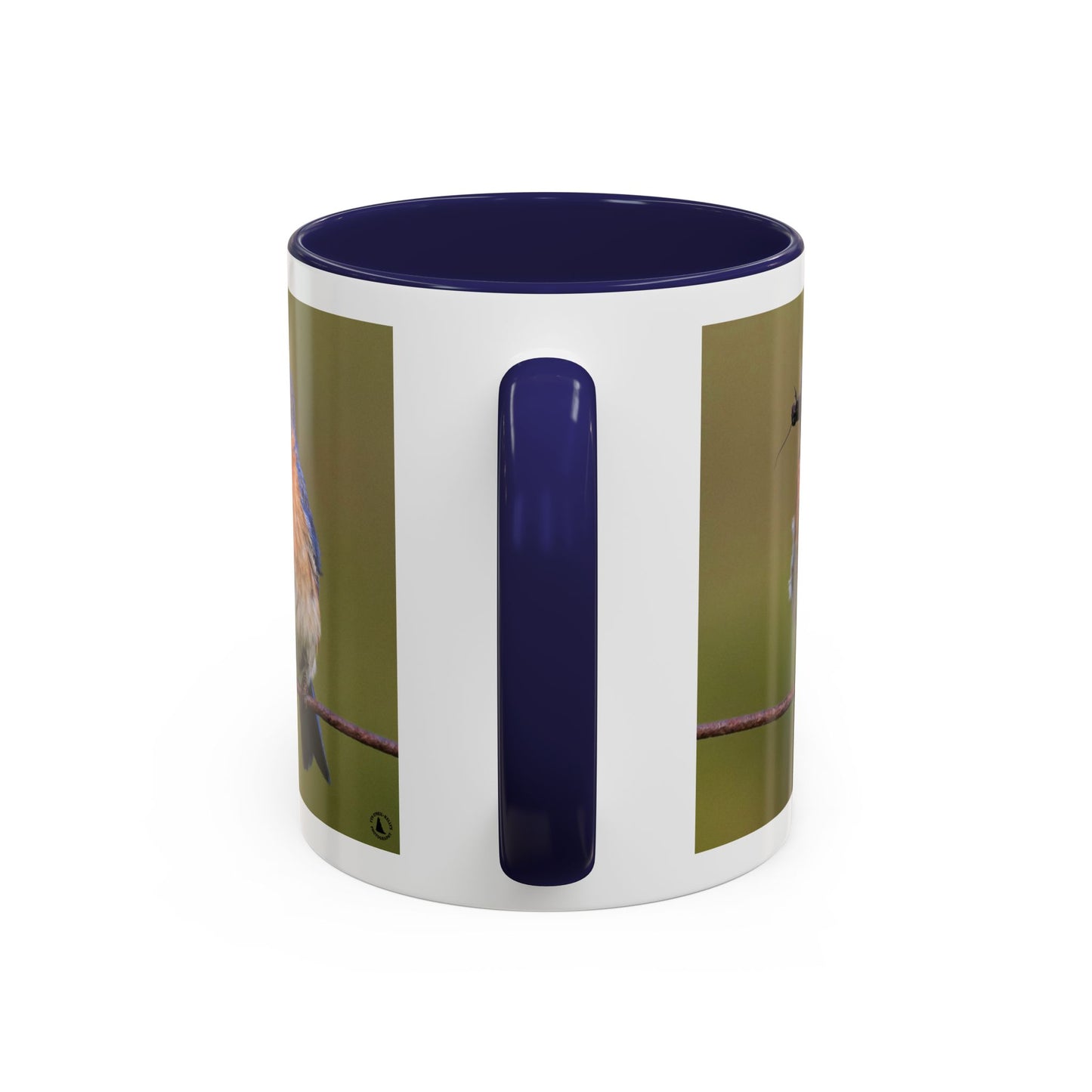 Bluebird Photo Coffee Mug — Eastern Bluebird with Insect Accent Mug (11/15 oz)