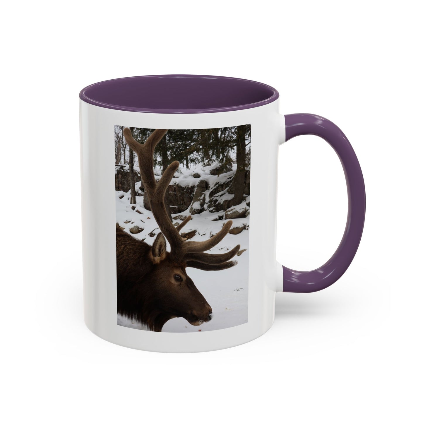 Elk in Snow Accent Coffee Mug — Nature Wildlife Photo Mug (11/15oz)