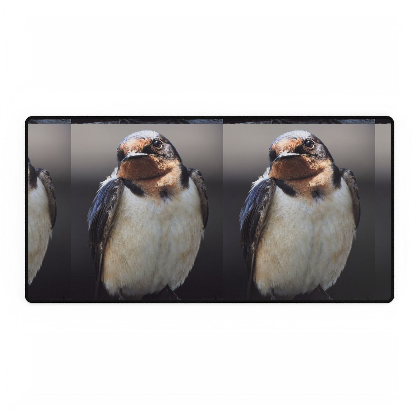 Barn Swallow Desk Mat — Large Bird Photography Mouse Pad for Home Office
