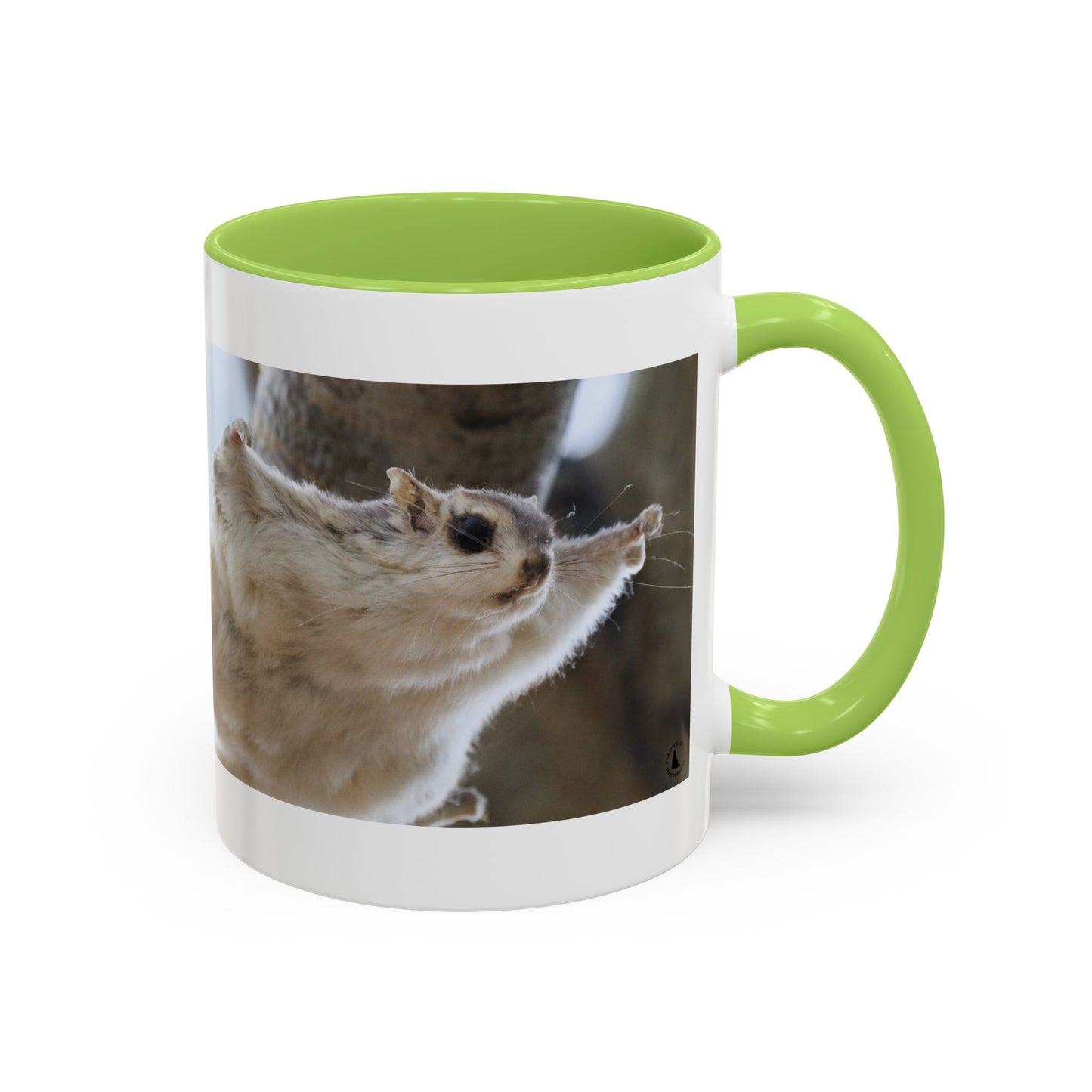 Flying Squirrel Accent Coffee Mug — Cute Wildlife Photo Mug (11/15oz)