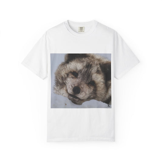 Arctic Tranquility: Serene Wildlife Portrait, Arctic Fox Close-Up Photographyphotography shirts