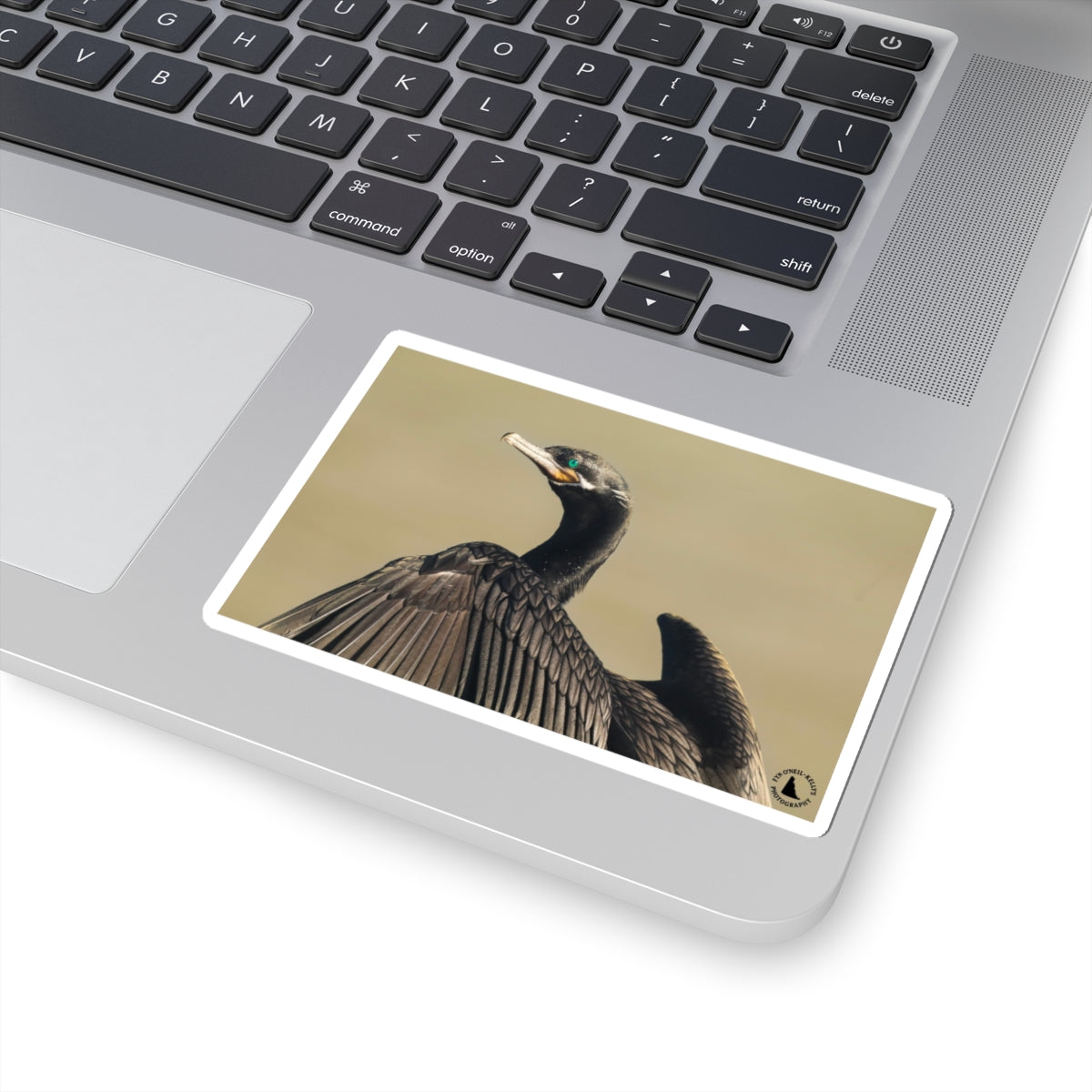 Cormorant Photo Sticker — Wildlife Kiss-Cut Vinyl Sticker