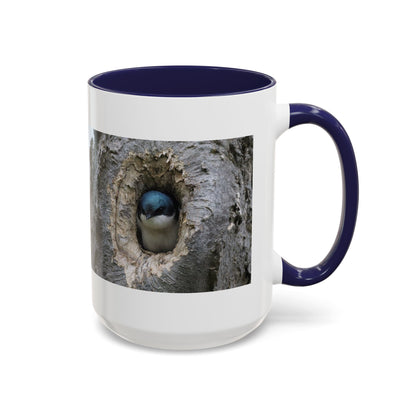 Bluebird in Tree Cavity Accent Coffee Mug — Nature Wildlife Ceramic Mug (11/15oz)