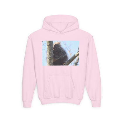 Youth Hoodie with Tree-Climbing Porcupine Photo – Cute Wildlife Kids Sweatshirt