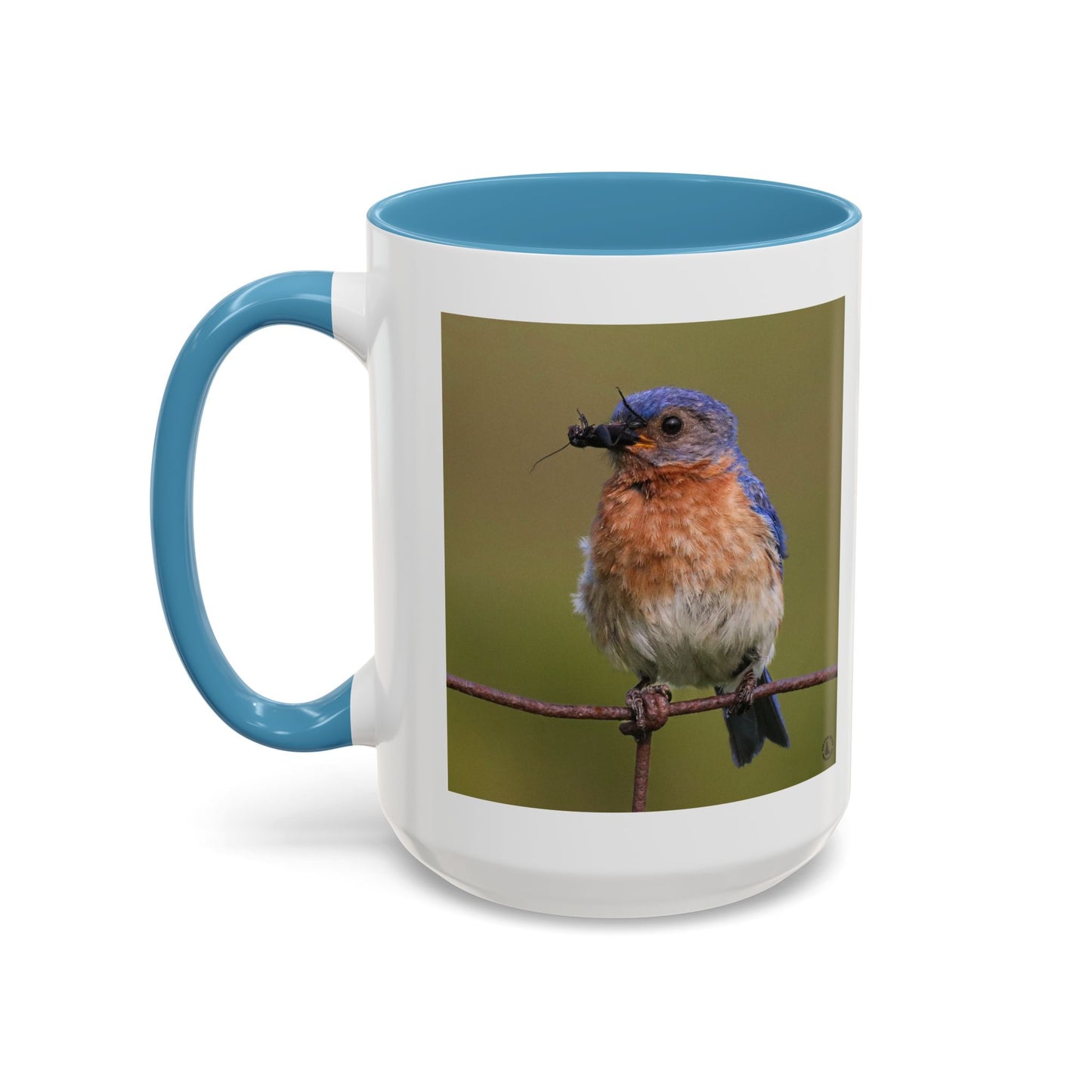 Bluebird Photo Coffee Mug — Eastern Bluebird with Insect Accent Mug (11/15 oz)