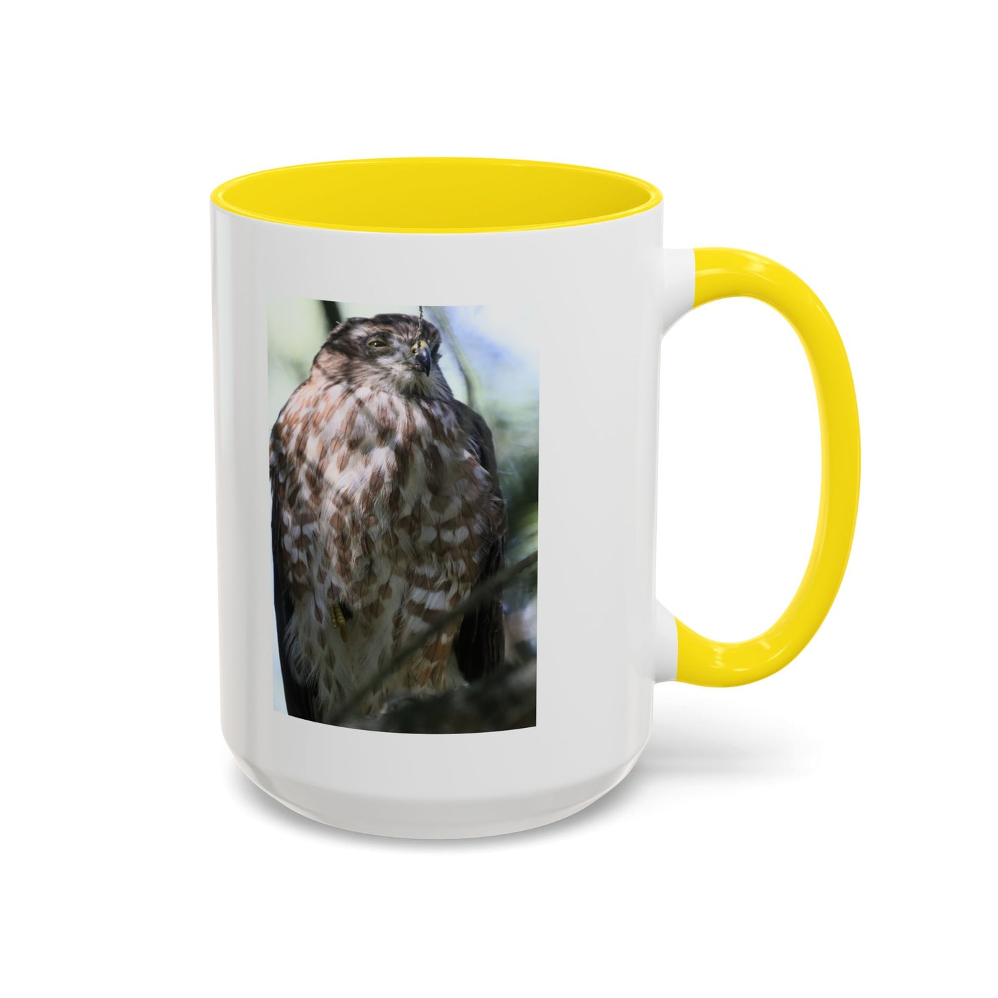 Hawk Photo Accent Coffee Mug — Birdwatcher Gift, 11/15oz