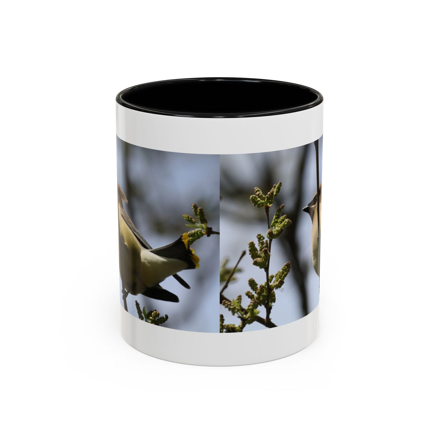 Cedar Waxwing Bird Photo Accent Coffee Mug