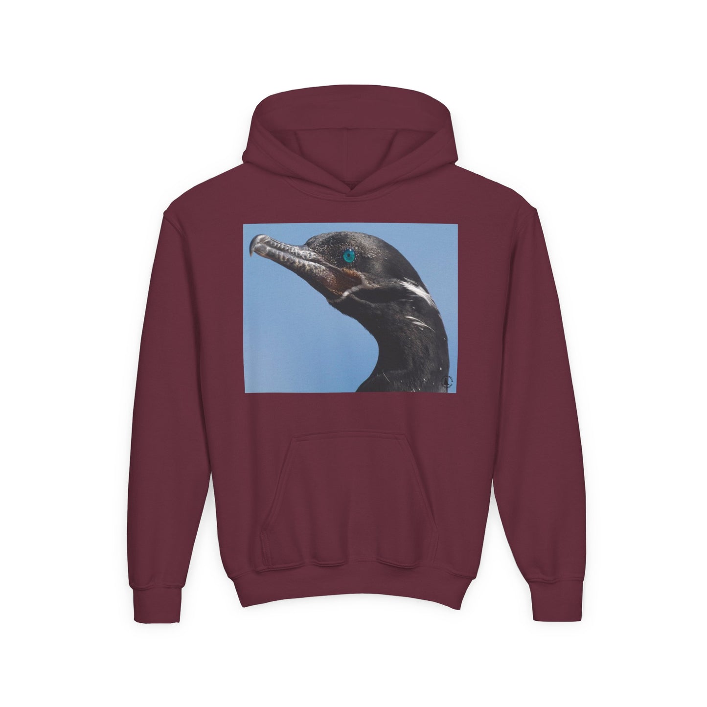 Youth Hoodie with Close-Up Cormorant Photo — Nature-Lover Kids Pullover