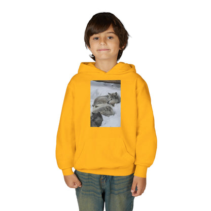 Sleeping Foxes Youth Hoodie | Wildlife Photography, Snow Scene