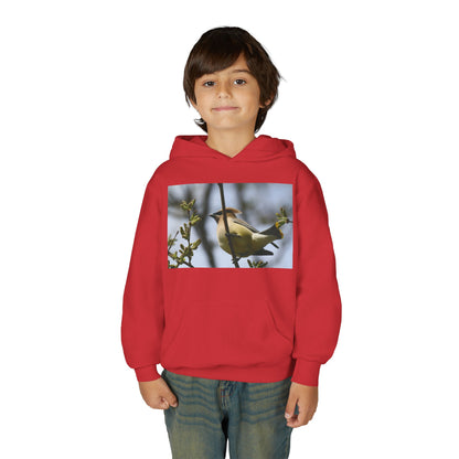 Cedar Waxwing Bird Hoodie | Youth Hooded Sweatshirt