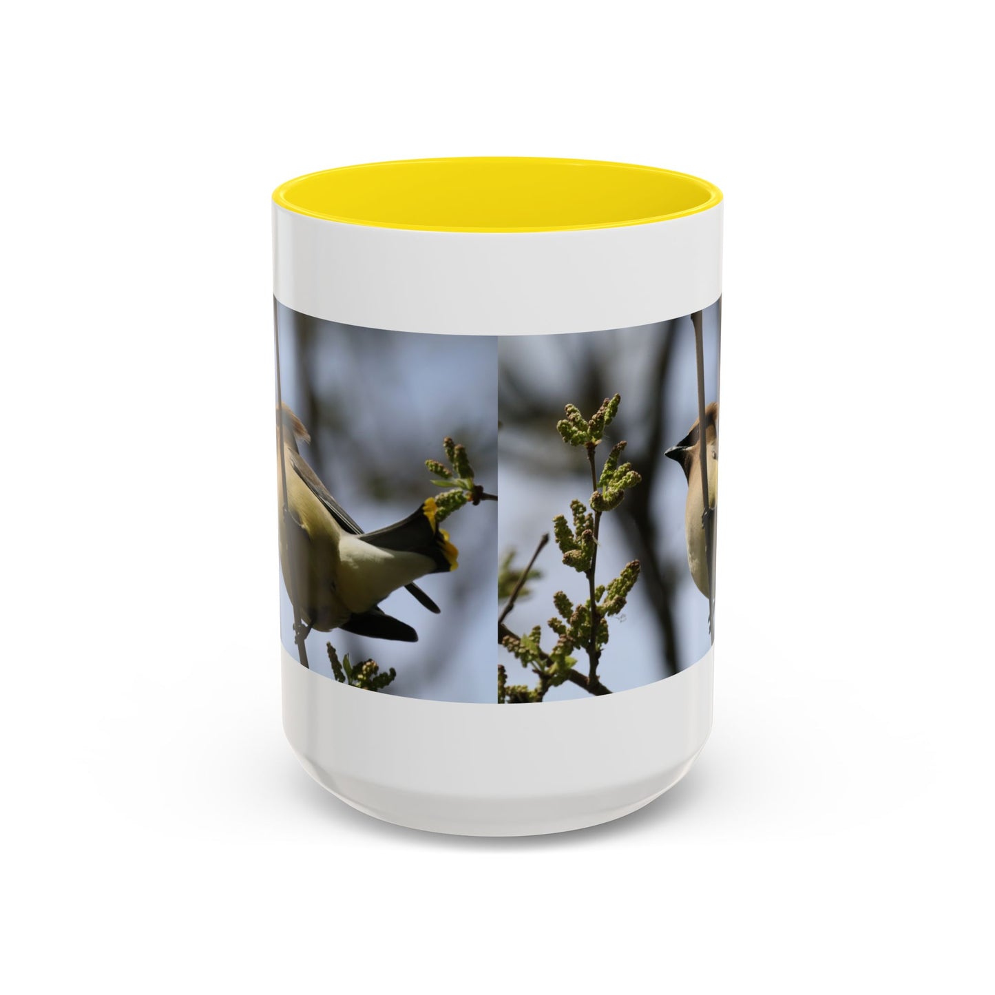 Cedar Waxwing Bird Photo Accent Coffee Mug