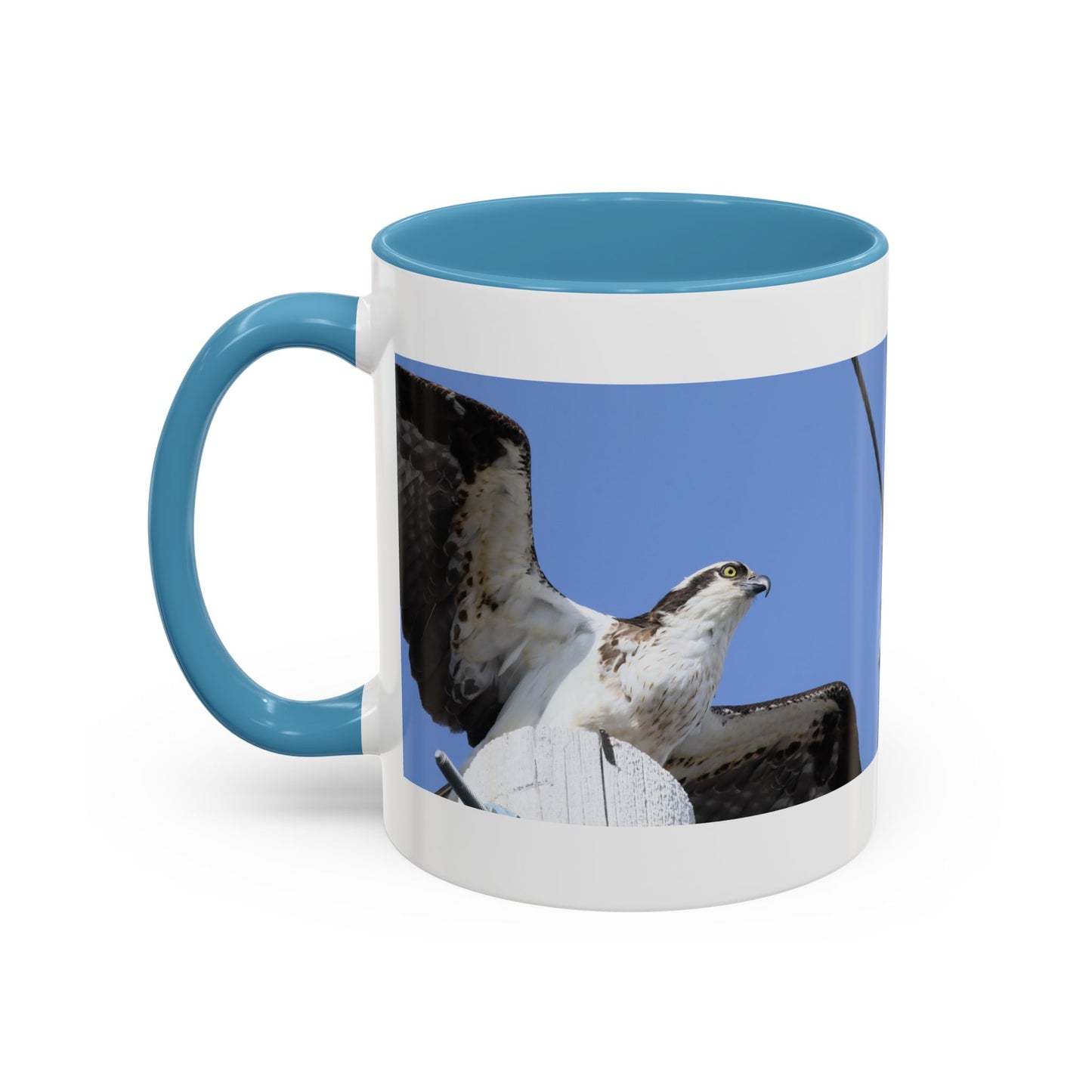 Osprey Photo Accent Coffee Mug – Wildlife Bird Photography Drinkware (11/15 oz)