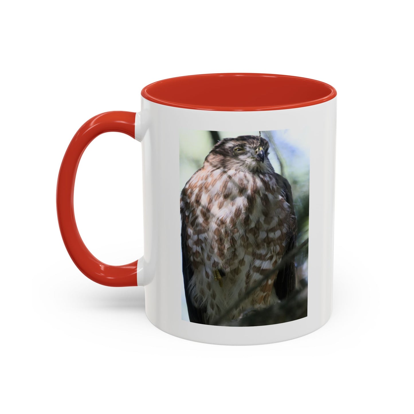 Hawk Photo Accent Coffee Mug — Birdwatcher Gift, 11/15oz