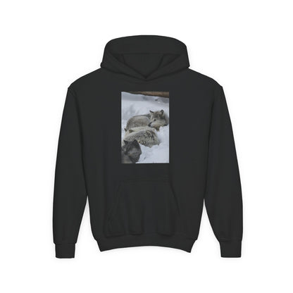 Sleeping Foxes Youth Hoodie | Wildlife Photography, Snow Scene