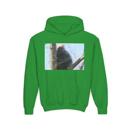 Youth Hoodie with Tree-Climbing Porcupine Photo – Cute Wildlife Kids Sweatshirt
