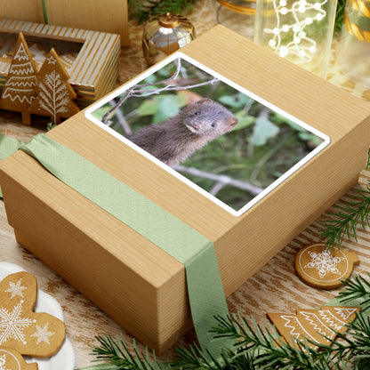 Curious Mink Photo Sticker — Cute Wildlife Laptop Decal