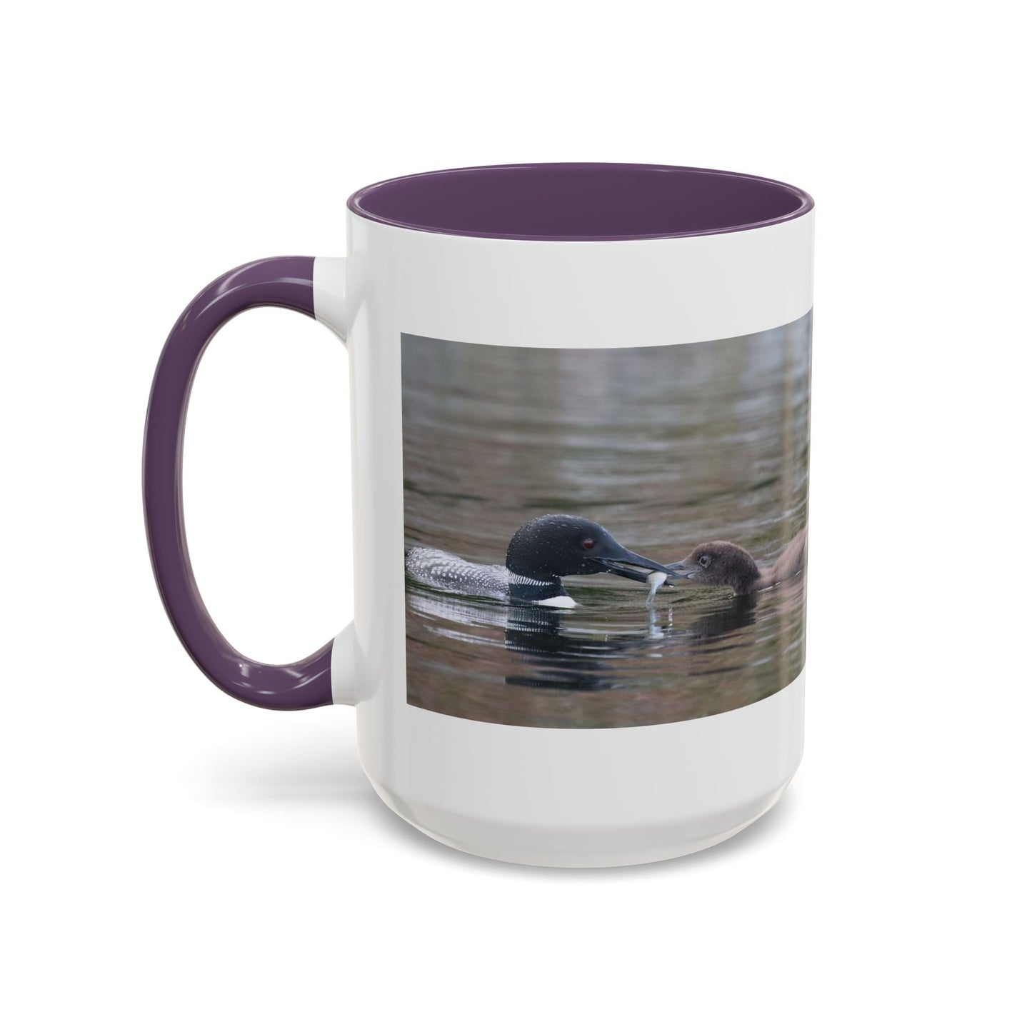 Bufflehead Duck Photo Accent Coffee Mug — Nature Lover Wildlife Gift (11/15oz)