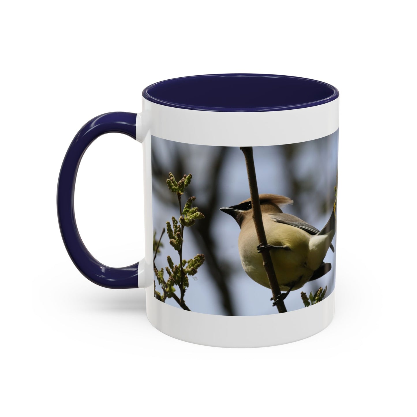 Cedar Waxwing Bird Photo Accent Coffee Mug