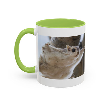 Flying Squirrel Accent Coffee Mug — Cute Wildlife Photo Mug (11/15oz)