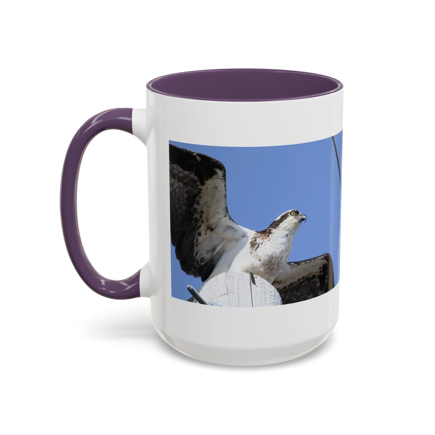 Osprey Photo Accent Coffee Mug – Wildlife Bird Photography Drinkware (11/15 oz)