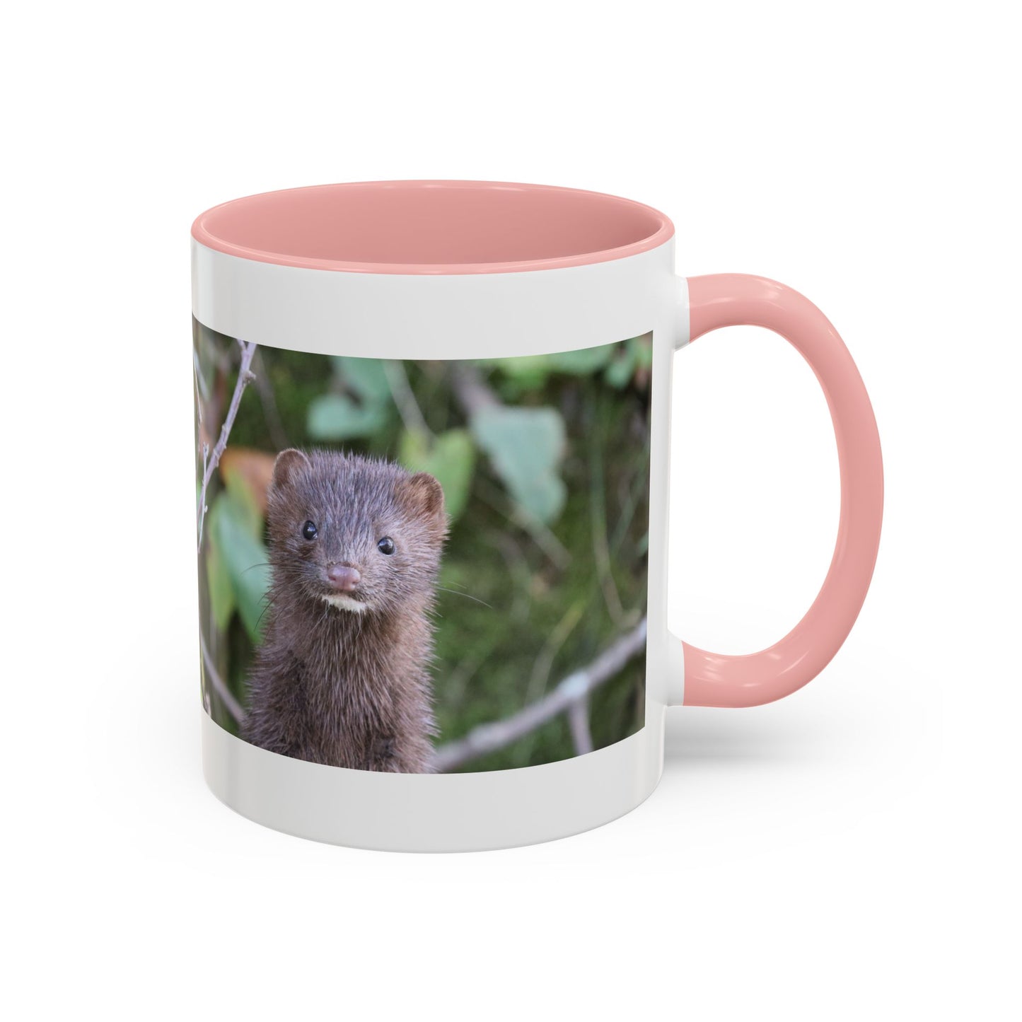 Cute Mink Photo Accent Mug – Wildlife Photography Coffee Cup (11/15 oz)
