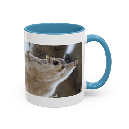Flying Squirrel Accent Coffee Mug — Cute Wildlife Photo Mug (11/15oz)