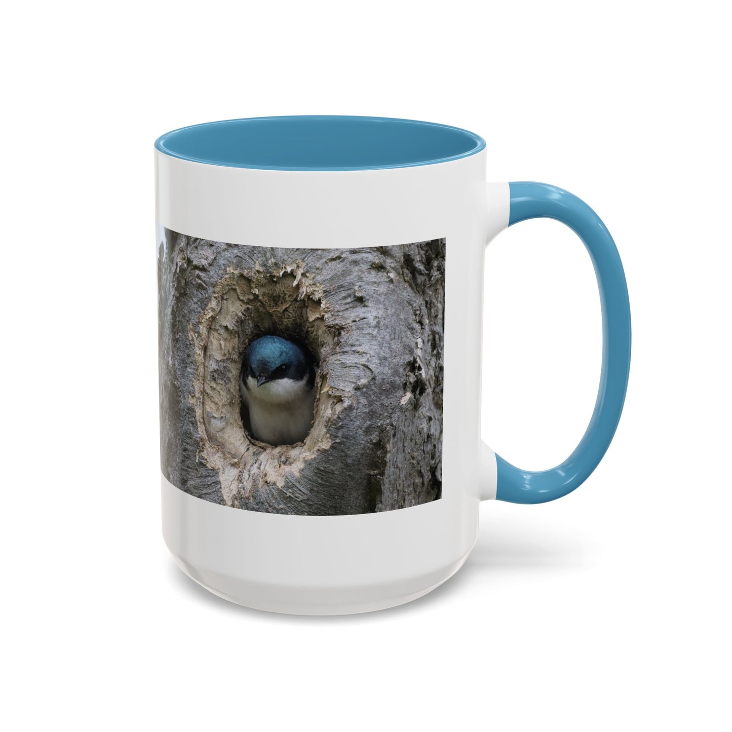 Bluebird in Tree Cavity Accent Coffee Mug — Nature Wildlife Ceramic Mug (11/15oz)