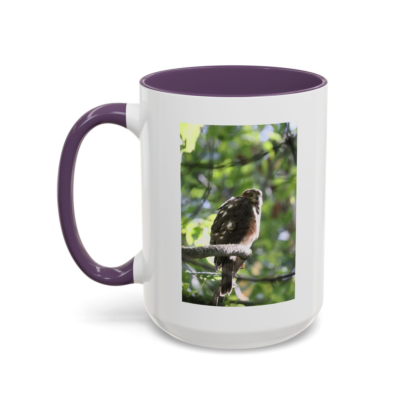 Hawk Perch Accent Coffee Mug (11/15 oz) – Nature Bird Photography