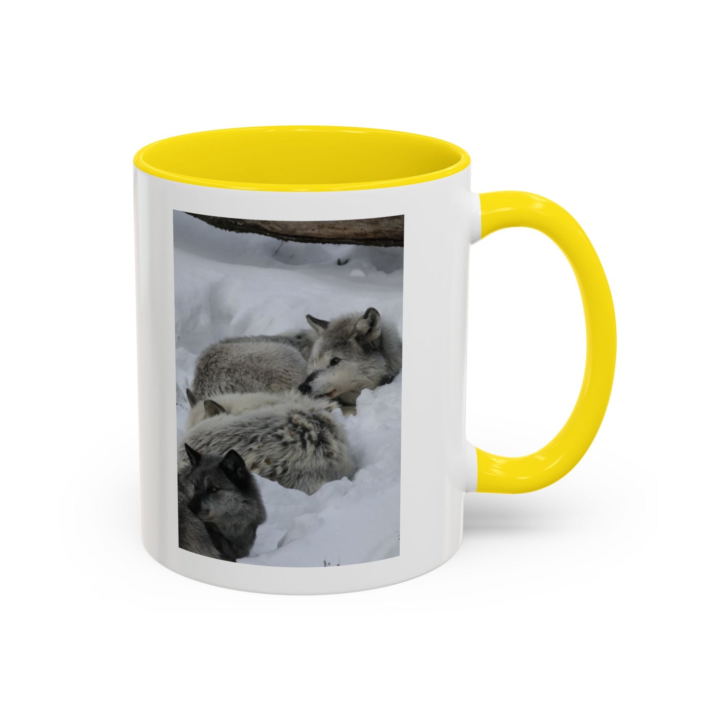Wolf Pack Coffee Mug – Accent Black Handle 11/15oz, Winter Wildlife Photo