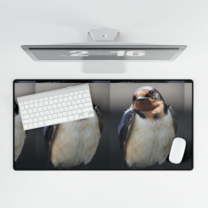 Barn Swallow Desk Mat — Large Bird Photography Mouse Pad for Home Office